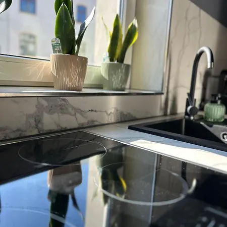 Διαμέρισμα Mintara Stadtwohnung Mit Flair Inkl Garage